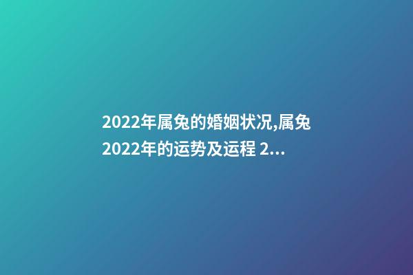 2022年属兔的婚姻状况,属兔2022年的运势及运程 2022年属兔女婚姻,2022年兔子的运势如何-第1张-观点-玄机派